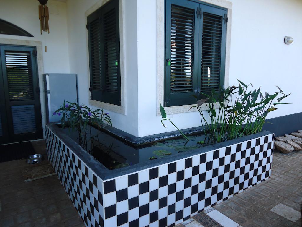 Bed & Breakfast Villa Lavanda Noci Ngoại thất bức ảnh